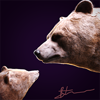 bearsbear-logo-200x200-9990