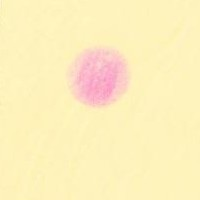 besteaone-logo-200x200-8938