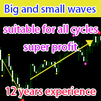 big-and-small-waves-logo-200x200-1239
