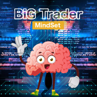 big-trader-mindset-logo-200x200-1462