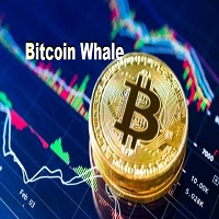 bitcoinwhale-logo-200x200-2812