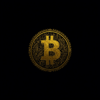 borneo-btc-logo-200x200-5489