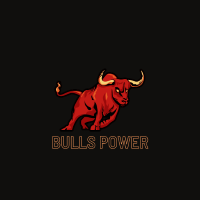 bullspower-logo-200x200-8280