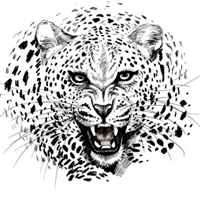 celeritasforex-logo-200x200-4204