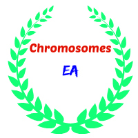 chromosomes-logo-200x200-6377