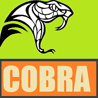 cobra-3xx-logo-200x200-9539
