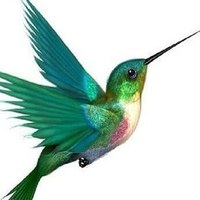 colibri-logo-200x200-6408