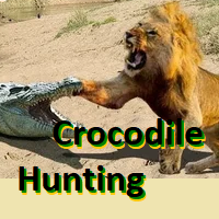 crocodilehunting-logo-200x200-2449
