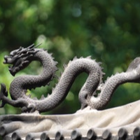 dragon-scalper-pro-logo-200x200-6922