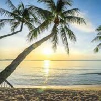 ea-paradise-logo-200x200-2785