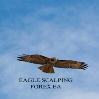 eagle-scalping-logo-200x200-3081
