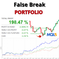 false-break-portfolio-mt5-logo-200x200-8963