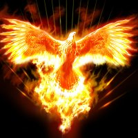 fenixoom-logo-200x200-7190