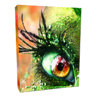 fractalscalper-logo-200x200-5156