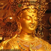 ft-gold-scalper-logo-200x200-6582