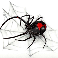 fx-karakurt-logo-200x200-6728