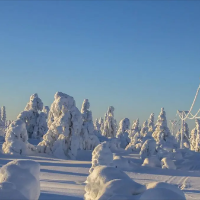 giant-trend-logo-200x200-7961