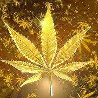 gold-expert-vr-logo-200x200-3013