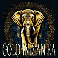 gold-indian-logo-200x200-9482