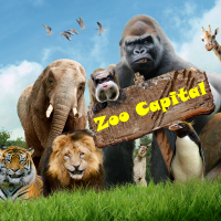 hama-and-hull-ea-for-mt4-by-zoocapital-logo-200x200-1242