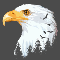 hawkeye-trading-logo-200x200-5673