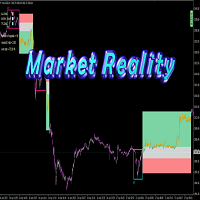 market-reality-logo-200x200-8973