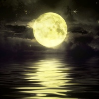 moonlight-scalper-mt4-logo-200x200-9983