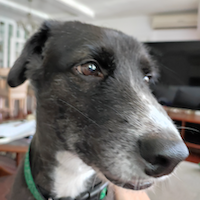 mt5ea-for-btcusd-2-logo-200x200-8260