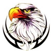 multitrader-logo-200x200-4403