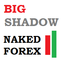naked-forex-big-shadow-indicator-for-mt5-logo-200x200-9312