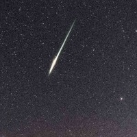 neurointelligence-logo-200x200-3701