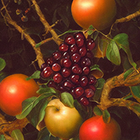 patern-recognition-mt5-logo-200x200-1134