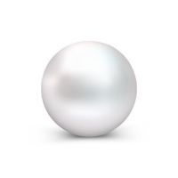 pearl-logo-200x200-3520