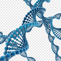 practica-trend-logo-200x200-4774