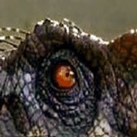 quantum-predator-logo-200x200-2703