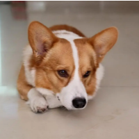 reliable-trend-logo-200x200-6065