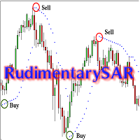rudimentarysar-logo-200x200-1670