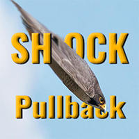 shock-pullback-logo-200x200-4224