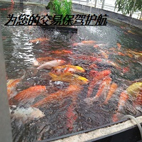 skillfully-run-away-logo-200x200-8831