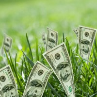 sprout-logo-200x200-6626