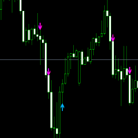 start-thunder-enter5-logo-200x200-3886