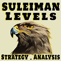 suleiman-levels-logo-200x200-4992