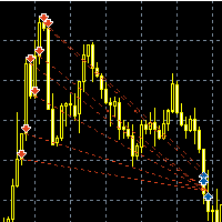 survivor-advanced-logo-200x200-1038