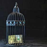 the-buyer-logo-200x200-5857