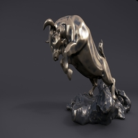 toumed-logo-200x200-6233