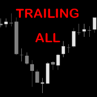 trailingall8-logo-200x200-7445