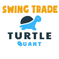 turtle-swing-trade-logo-200x200-6069