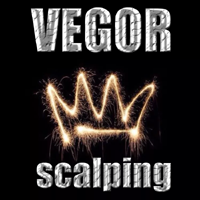 vegor-logo-200x200-6663