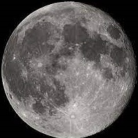 volatility-trend-ea-logo-200x200-1482