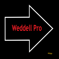 weddell-pro-logo-200x200-8847